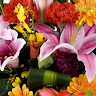 desarrollosdigitales9@gma