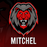 12Mitchel