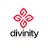 Divinity LLC