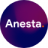 Anesta - Intranet, Extranet, Community and BuddyPress WordPress Theme
