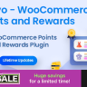 Bravo - WooCommerce Points and Rewards