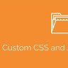 Simple Custom CSS and JS PRO