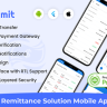 ViserRemit - Cross Platform Ultimate Remittance Solution
