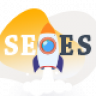 Seoes - Marketing Agency WordPress Theme