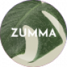 Zumma - Multipurpose WooCommerce Theme