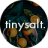 TinySalt - Personal Food Blog WordPress Theme