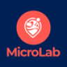 MicroLab - Micro Job Freelancing Platform