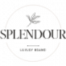 Splendour - Jewelry & Watches WordPress Theme