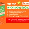 Waziper - Whatsapp Marketing Tool By Stackposts