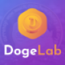 DogeLab - Cloud DogeCoin Mining Platform