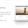 Wellspring - Health, Lifestyle & Wellness Theme