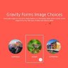 Gravity Forms Image Choices Add-On By JetSloth