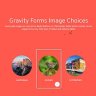 Gravity Forms Image Choices Add-On By JetSloth