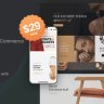 Molla - Multi-Purpose WooCommerce Theme