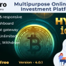 Hyip InvestPro – Advance HYIP & ICO Investment Wallet & Banking Platform