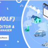 WOLF - WordPress Posts Bulk Editor and Manager Professional - Posts bulk edit