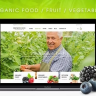 Fresh Food – Organic Food/Fruit/Vegetables eCommerce Shopify Theme